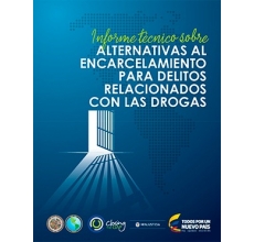 Informe técnico sobre Alternativas al Encarcelamiento para Delitos Relacionados con las Drogas